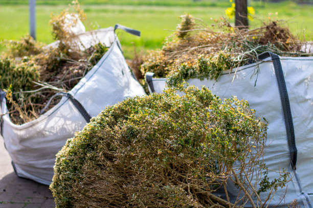 Best Appliance Removal Near Me  in Alba, NY