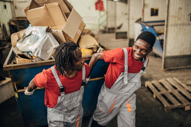 Yard Cleanup Services in Albany, NY